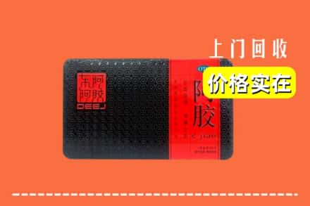 大石桥市回收阿胶