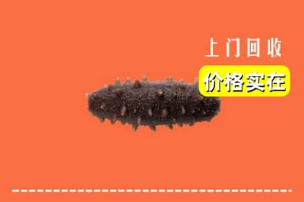 大石桥市回收海参